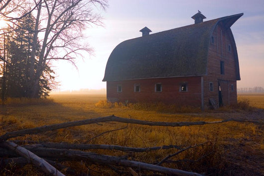 A Barn Sits In Morning Mist Wall Mural