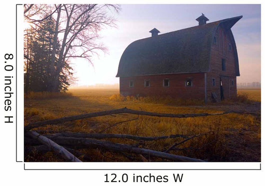 A Barn Sits In Morning Mist Wall Mural