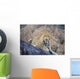 Male Leopard Wall Mural