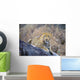 Male Leopard Wall Mural