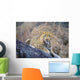 Male Leopard Wall Mural