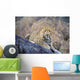 Male Leopard Wall Mural