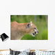 Cougar Profile Wall Mural