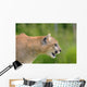 Cougar Profile Wall Mural