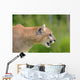 Cougar Profile Wall Mural