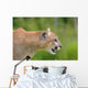 Cougar Profile Wall Mural