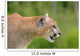 Cougar Profile Wall Mural