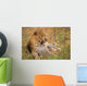 Leopard Lying In Grass Wall Mural
