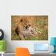 Leopard Lying In Grass Wall Mural