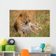 Leopard Lying In Grass Wall Mural