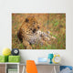 Leopard Lying In Grass Wall Mural
