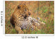 Leopard Lying In Grass Wall Mural