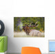 Bull Elk Wall Mural