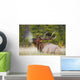 Bull Elk Wall Mural