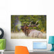 Bull Elk Wall Mural