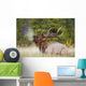 Bull Elk Wall Mural