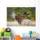 Bull Elk Wall Mural
