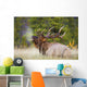 Bull Elk Wall Mural