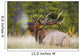 Bull Elk Wall Mural