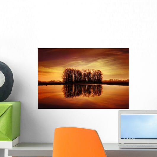 Silhouetted Trees Reflected On Water Wall Mural