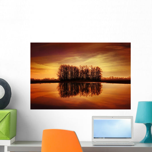 Silhouetted Trees Reflected On Water Wall Mural
