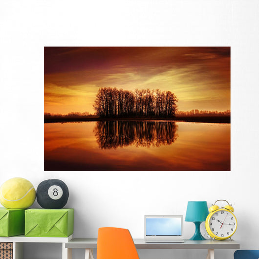 Silhouetted Trees Reflected On Water Wall Mural