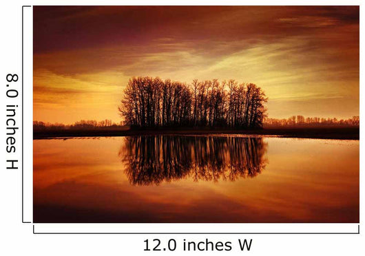 Silhouetted Trees Reflected On Water Wall Mural