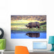 African Cape Buffalo, Photographed At Lake Kariba Zimbabwe Wall Mural