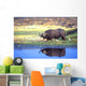African Cape Buffalo, Photographed At Lake Kariba Zimbabwe Wall Mural