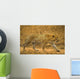 Male Leopard Wall Mural