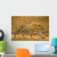 Male Leopard Wall Mural