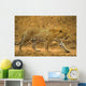 Male Leopard Wall Mural