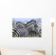 Burchell's Zebra Wall Mural