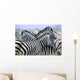 Burchell's Zebra Wall Mural