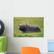 Cape Buffalo In Tanzania Wall Mural