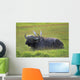 Cape Buffalo In Tanzania Wall Mural