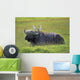 Cape Buffalo In Tanzania Wall Mural