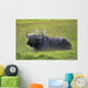 Cape Buffalo In Tanzania Wall Mural