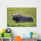 Cape Buffalo In Tanzania Wall Mural