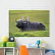Cape Buffalo In Tanzania Wall Mural