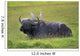 Cape Buffalo In Tanzania Wall Mural