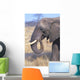 Bull Elephant Wall Mural