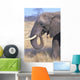 Bull Elephant Wall Mural