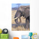Bull Elephant Wall Mural