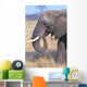 Bull Elephant Wall Mural