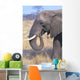 Bull Elephant Wall Mural
