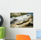 Alligator Wall Mural