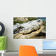 Alligator Wall Mural