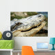 Alligator Wall Mural