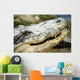 Alligator Wall Mural